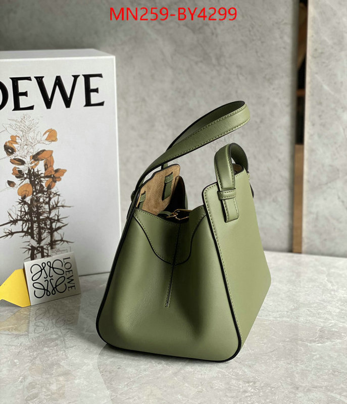 Loewe Bags(TOP)-Hammock replica shop ID: BY4299 $: 259USD