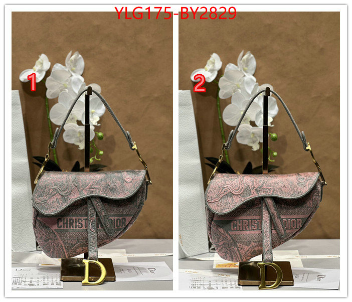 Dior Bags(TOP)-Saddle- buy aaaaa cheap ID: BY2829 $: 175USD