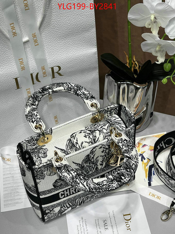 Dior Bags(TOP)-Lady- customize the best replica ID: BY2841 $: 199USD