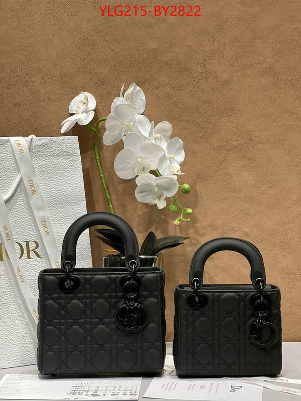 Dior Bags(TOP)-Lady- wholesale ID: BY2822