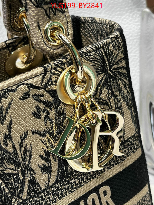 Dior Bags(TOP)-Lady- customize the best replica ID: BY2841 $: 199USD