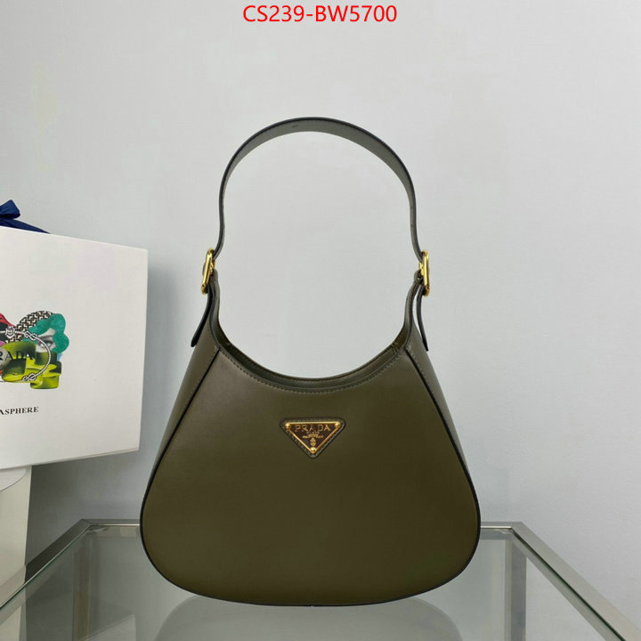 Prada Bags (TOP)-Cleo wholesale designer shop ID: BW5700 $: 239USD