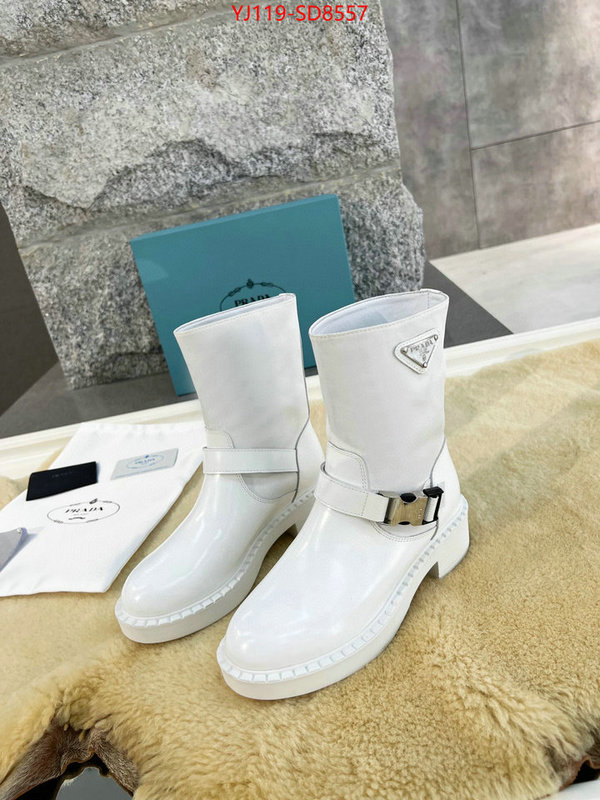 Women Shoes-Prada knockoff highest quality ID: SD8557 $: 119USD