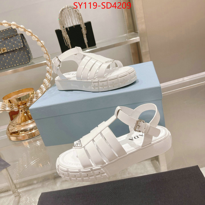 Women Shoes-Prada buy online ID: SD4209 $: 119USD