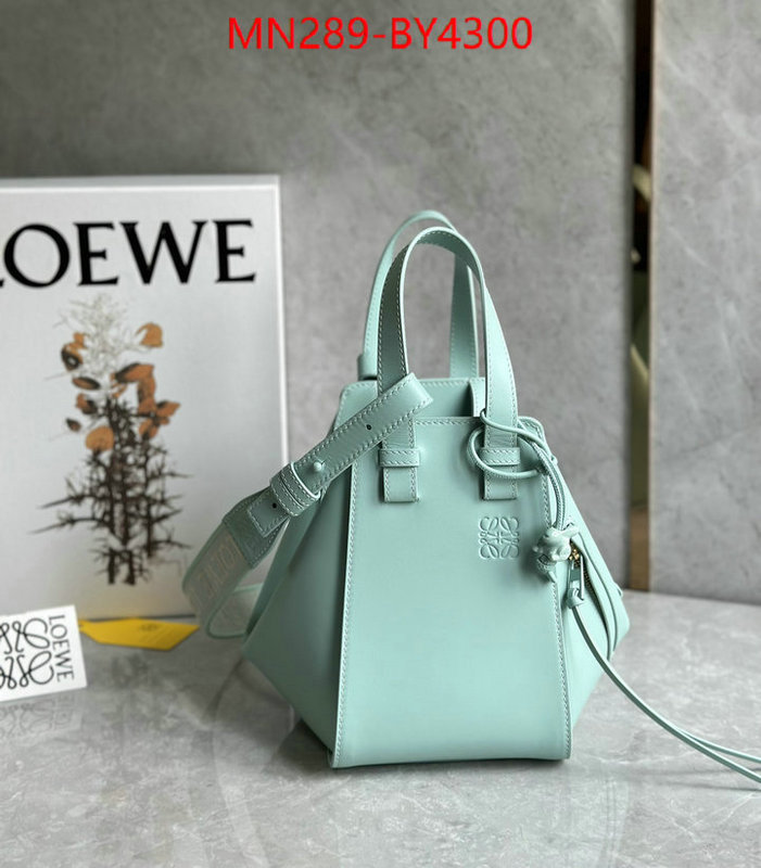 Loewe Bags(TOP)-Hammock wholesale china ID: BY4300 $: 289USD