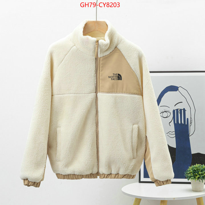 Clothing-The North Face 7 star quality designer replica ID: CY8203 $: 79USD