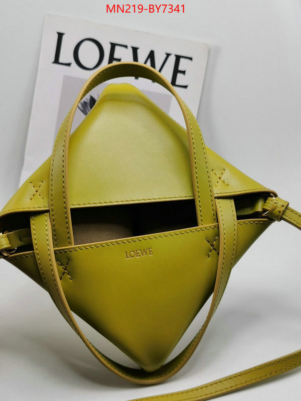 Loewe Bags(TOP)-Handbag- buy aaaaa cheap ID: BY7341 $: 219USD