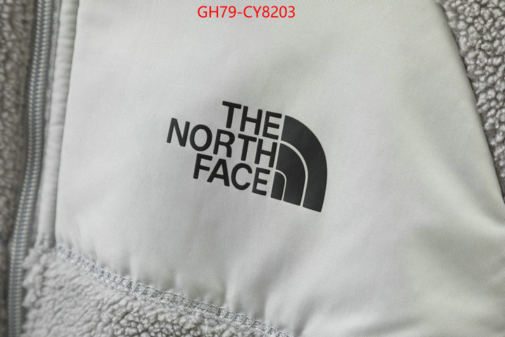 Clothing-The North Face 7 star quality designer replica ID: CY8203 $: 79USD