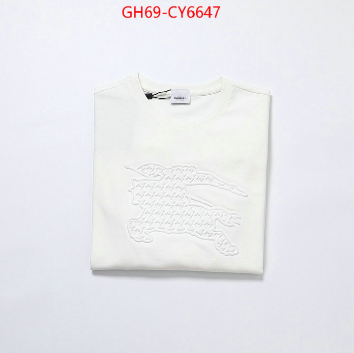 Clothing-Burberry buy high quality cheap hot replica ID: CY6647 $: 69USD