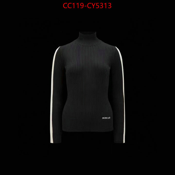 Clothing-Moncler fake aaaaa ID: CY5313 $: 119USD