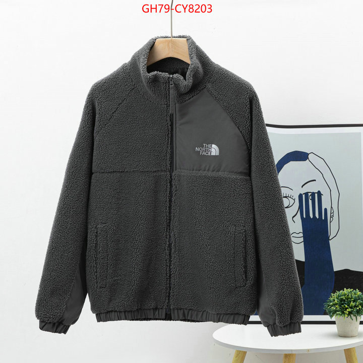 Clothing-The North Face 7 star quality designer replica ID: CY8203 $: 79USD