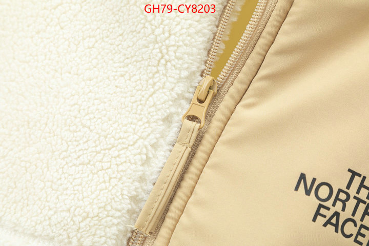 Clothing-The North Face 7 star quality designer replica ID: CY8203 $: 79USD