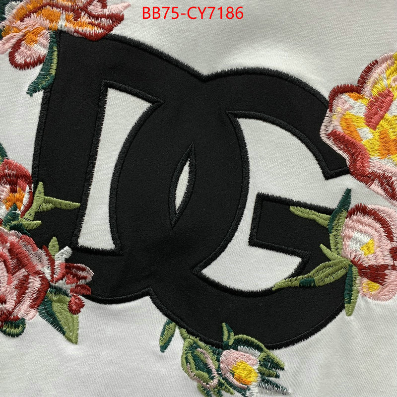 Clothing-DG buy best quality replica ID: CY7186 $: 75USD