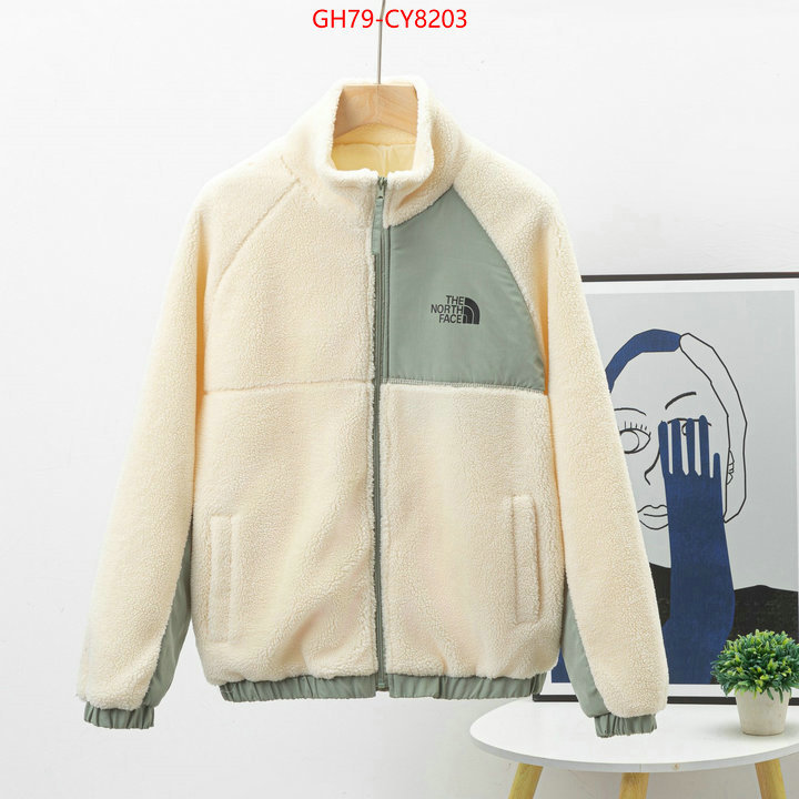 Clothing-The North Face 7 star quality designer replica ID: CY8203 $: 79USD