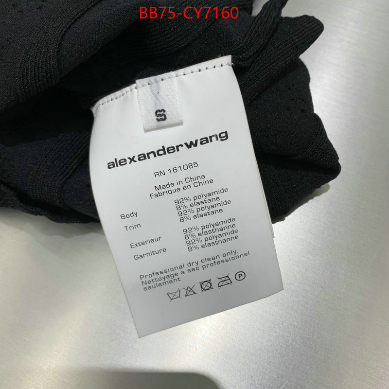 Clothing-Alexander Wang wholesale replica ID: CY7160 $: 75USD