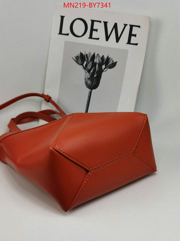 Loewe Bags(TOP)-Handbag- buy aaaaa cheap ID: BY7341 $: 219USD