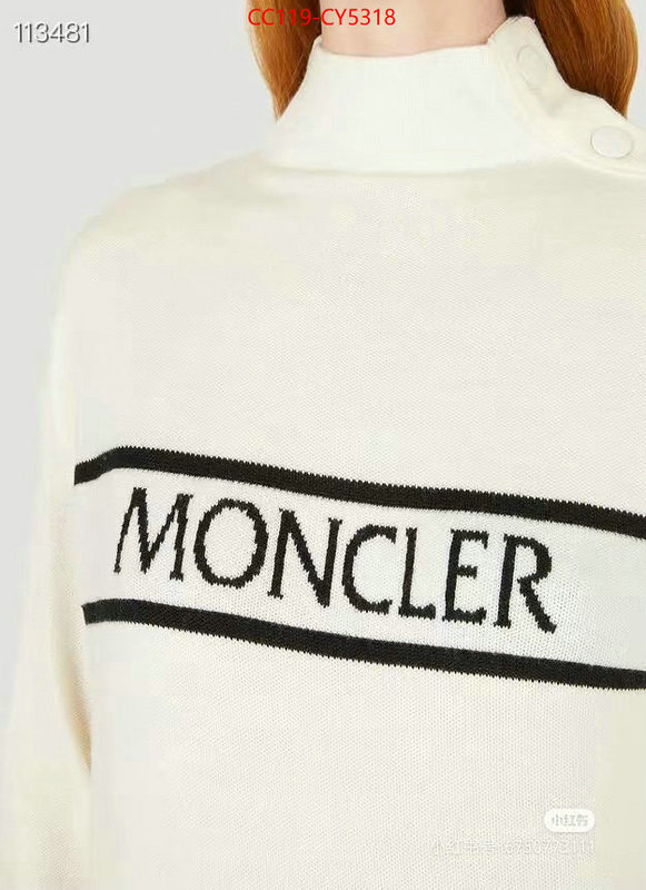 Clothing-Moncler replica shop ID: CY5318 $: 119USD