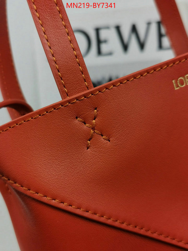 Loewe Bags(TOP)-Handbag- buy aaaaa cheap ID: BY7341 $: 219USD