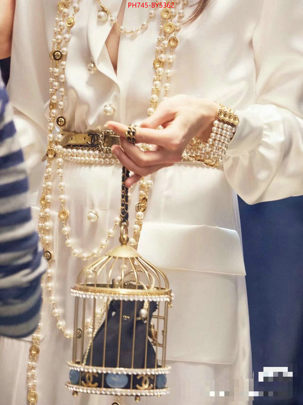 Chanel Bags(TOP)-Other Styles- mirror copy luxury ID: BY5362 $: 745USD