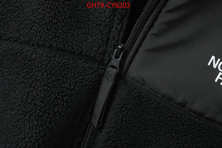 Clothing-The North Face 7 star quality designer replica ID: CY8203 $: 79USD