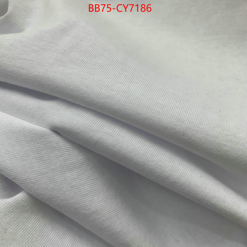 Clothing-DG buy best quality replica ID: CY7186 $: 75USD