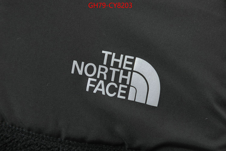 Clothing-The North Face 7 star quality designer replica ID: CY8203 $: 79USD