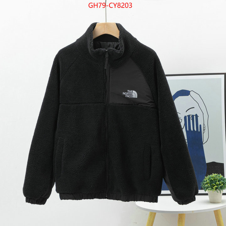 Clothing-The North Face 7 star quality designer replica ID: CY8203 $: 79USD