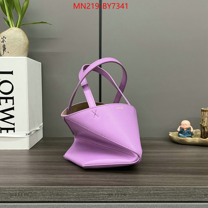 Loewe Bags(TOP)-Handbag- buy aaaaa cheap ID: BY7341 $: 219USD