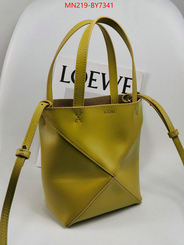 Loewe Bags(TOP)-Handbag- buy aaaaa cheap ID: BY7341 $: 219USD