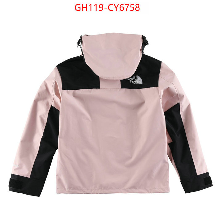 Clothing-The North Face buy sell ID: CY6758 $: 119USD