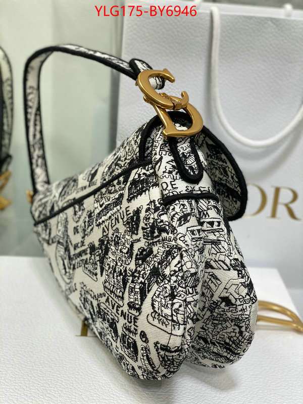 Dior Bags(TOP)-Saddle- what best replica sellers ID: BY6946 $: 175USD