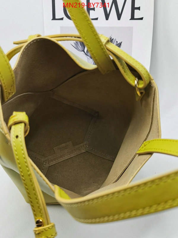 Loewe Bags(TOP)-Handbag- buy aaaaa cheap ID: BY7341 $: 219USD
