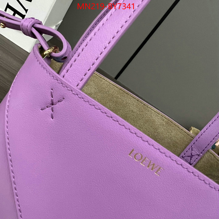 Loewe Bags(TOP)-Handbag- buy aaaaa cheap ID: BY7341 $: 219USD