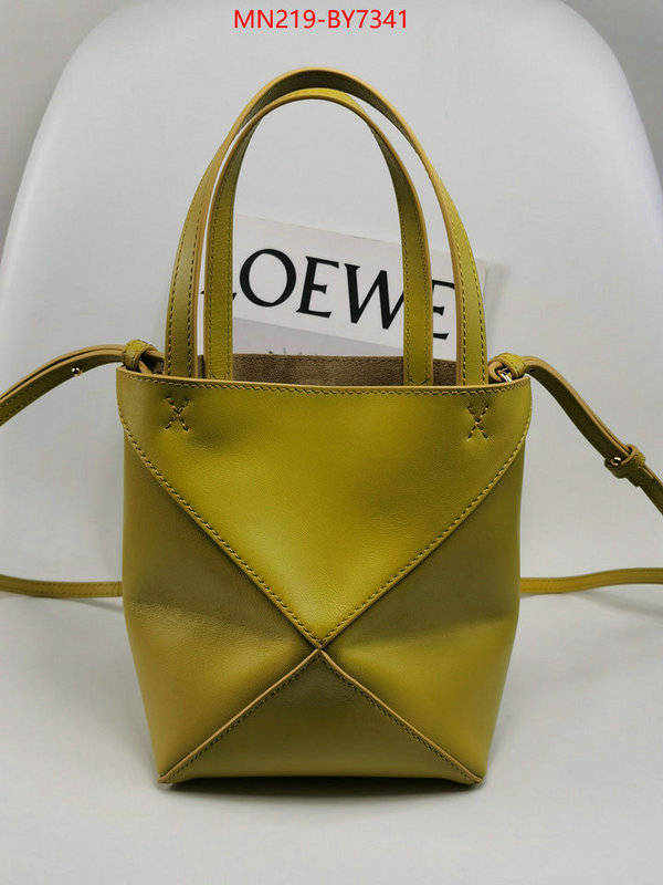 Loewe Bags(TOP)-Handbag- buy aaaaa cheap ID: BY7341 $: 219USD