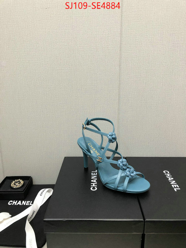 Women Shoes-Chanel good quality replica ID: SE4884 $: 109USD