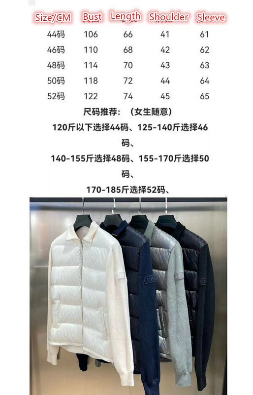 Down jacket Women-Dior buy top high quality replica ID: CV1447 $: 125USD