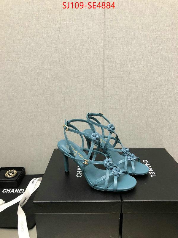 Women Shoes-Chanel good quality replica ID: SE4884 $: 109USD