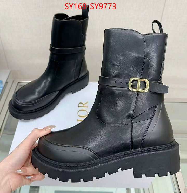 Women Shoes-Dior cheap replica ID: SY9773 $: 169USD