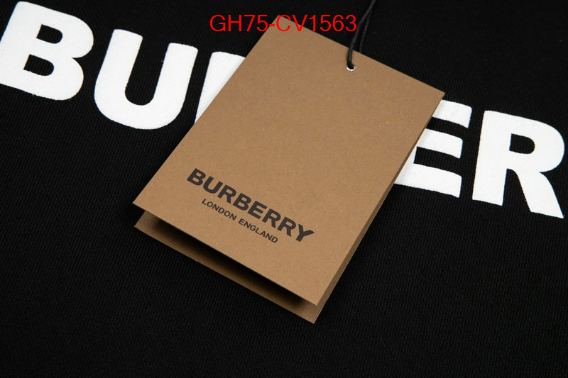 Clothing-Burberry for sale online ID: CV1563 $: 75USD