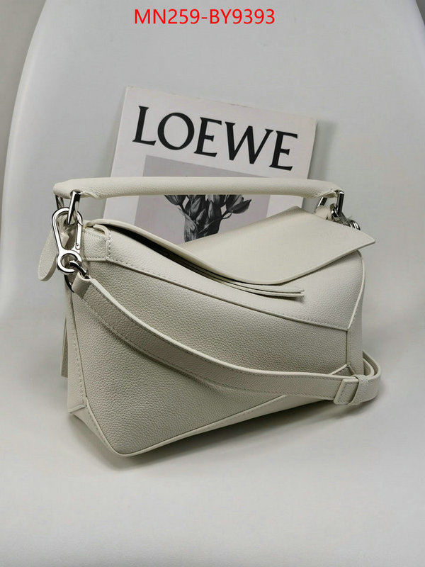 Loewe Bags(TOP)-Puzzle- where can i buy the best 1:1 original ID: BY9393 $: 269USD