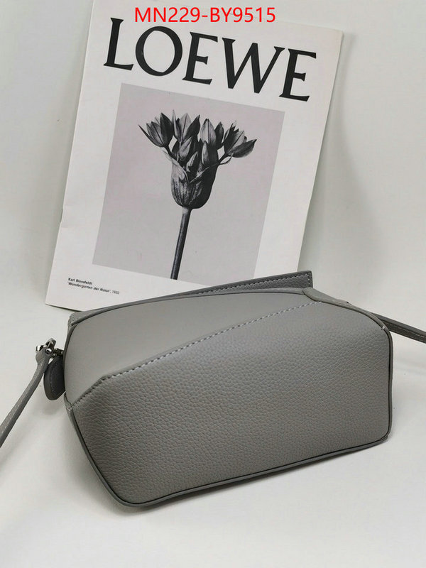 Loewe Bags(TOP)-Puzzle- 2023 replica ID: BY9515 $: 229USD