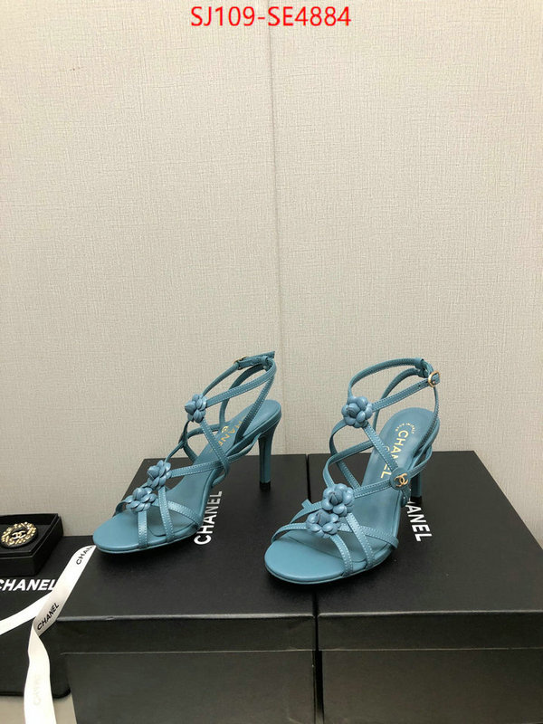 Women Shoes-Chanel good quality replica ID: SE4884 $: 109USD