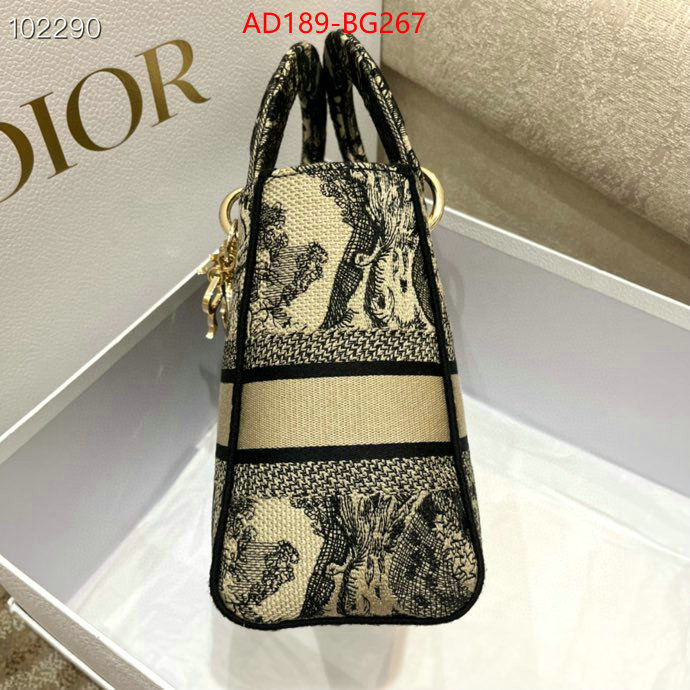 Dior Bags(TOP)-Lady- we provide top cheap aaaaa ID: BG267 $: 189USD