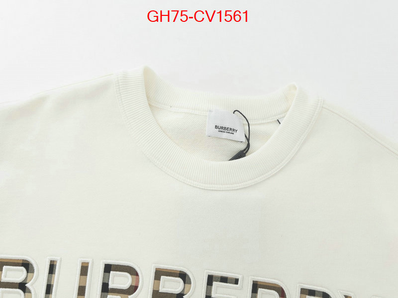 Clothing-Burberry high quality designer ID: CV1561 $: 75USD