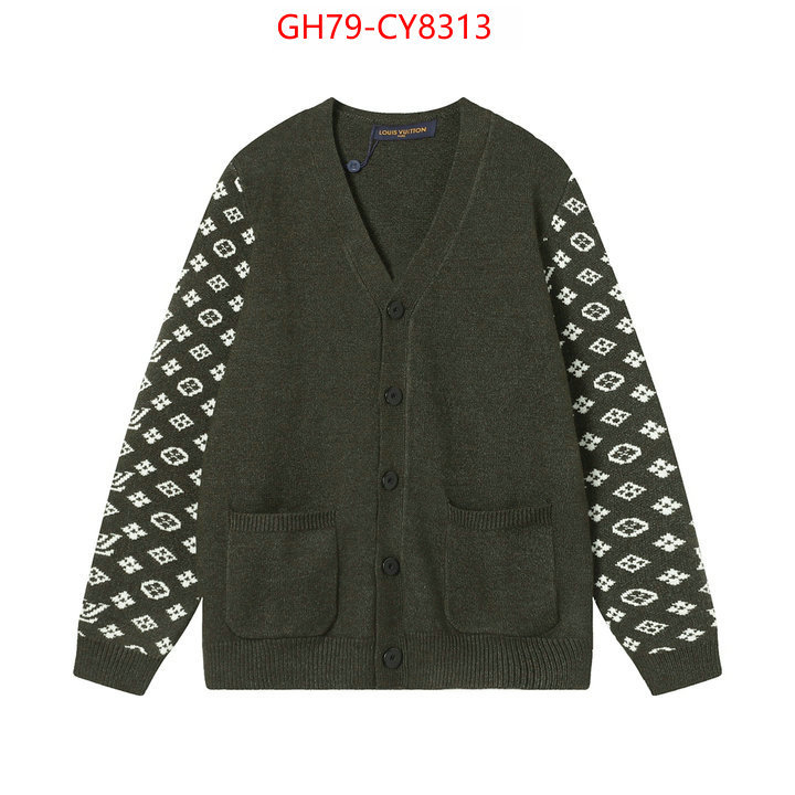 Clothing-LV buy best high-quality ID: CY8313 $: 79USD