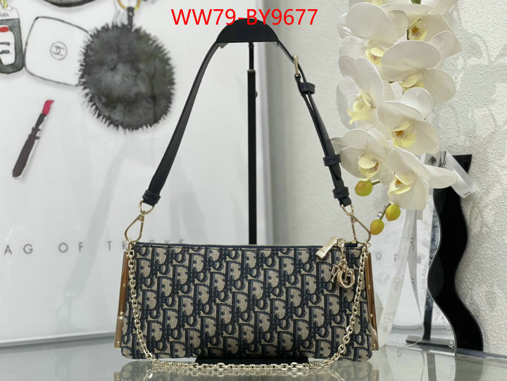 Dior Bags(4A)-Other Style- cheap online best designer ID: BY9677 $: 79USD