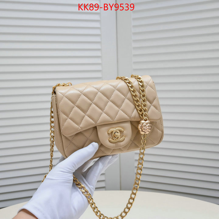 Chanel Bags(4A)-Diagonal- wholesale designer shop ID: BY9539 $: 89USD