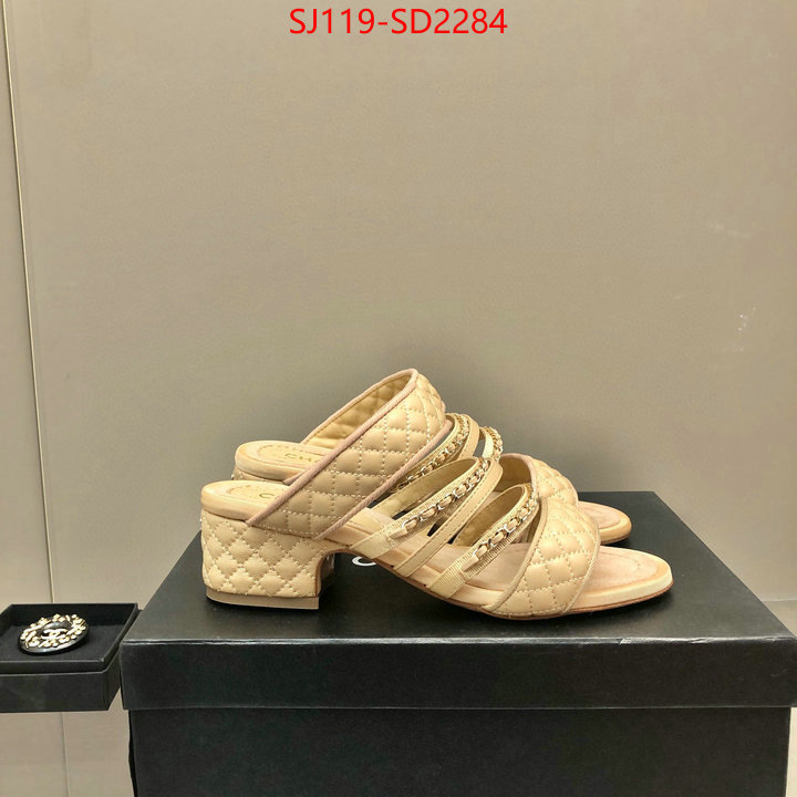 Women Shoes-Chanel luxury cheap replica ID: SD2284 $: 119USD