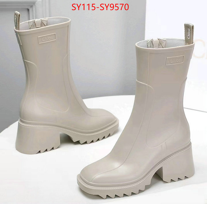 Women Shoes-Chloe we offer ID: SY9570 $: 115USD