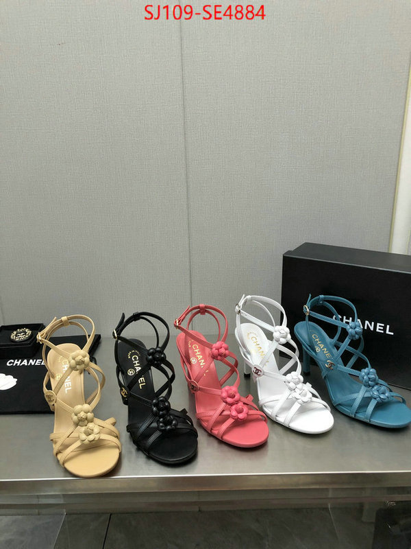 Women Shoes-Chanel good quality replica ID: SE4884 $: 109USD